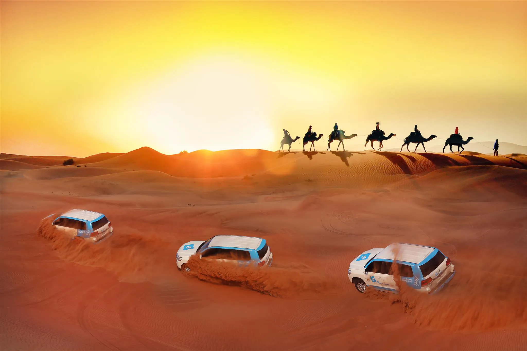 camels-cars-desert