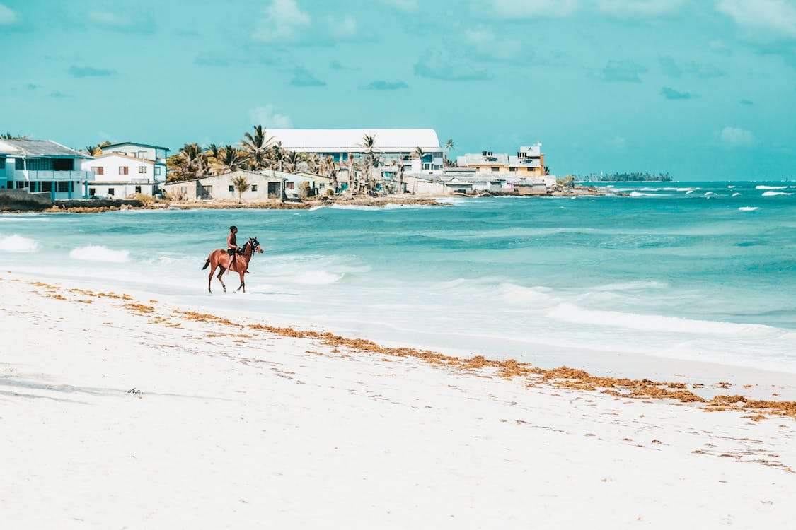 horse-riding-beach