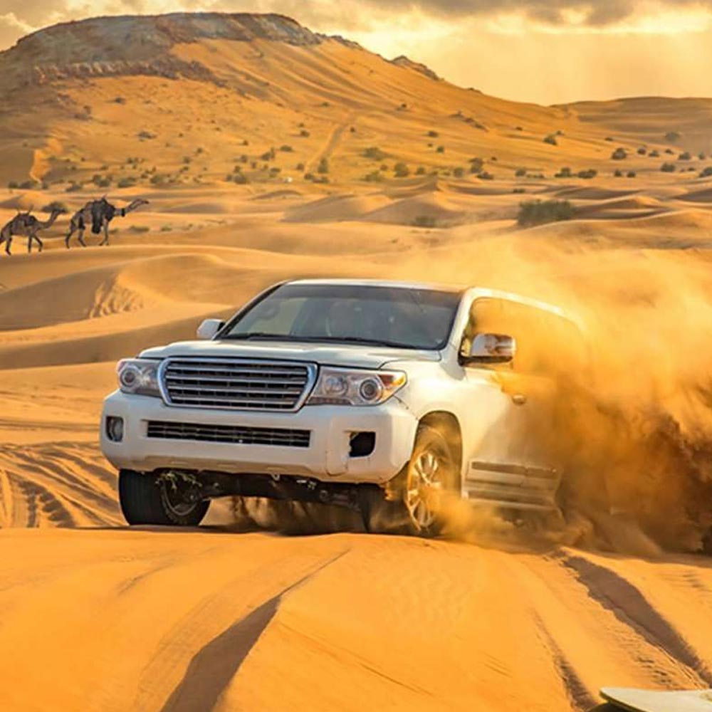 car-dune-bashing-desert