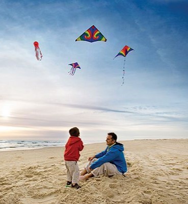 kites-at-beach