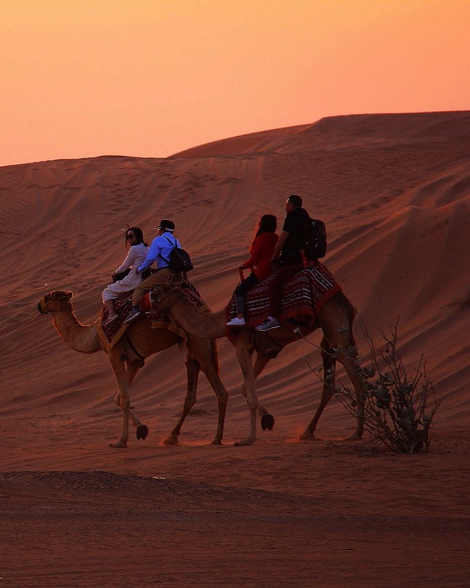 sunset-camel-riding-in-desert