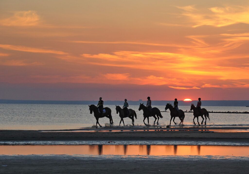 beach-horse-riding-sunset