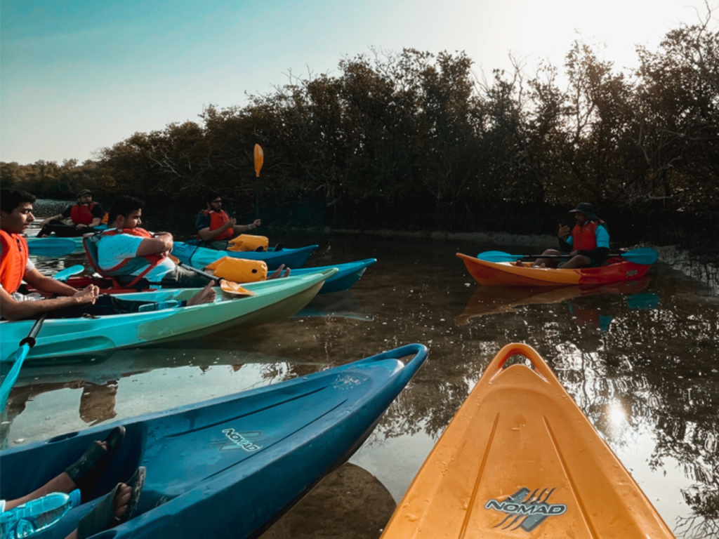 mangrove-kayak