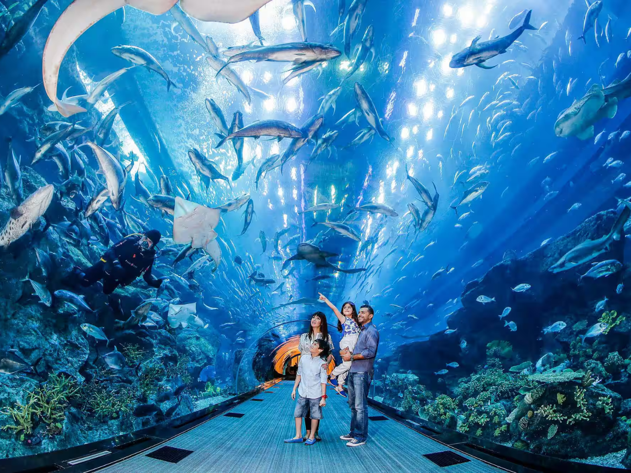 10 things to do with your kids in summer in Dubai & UAE!