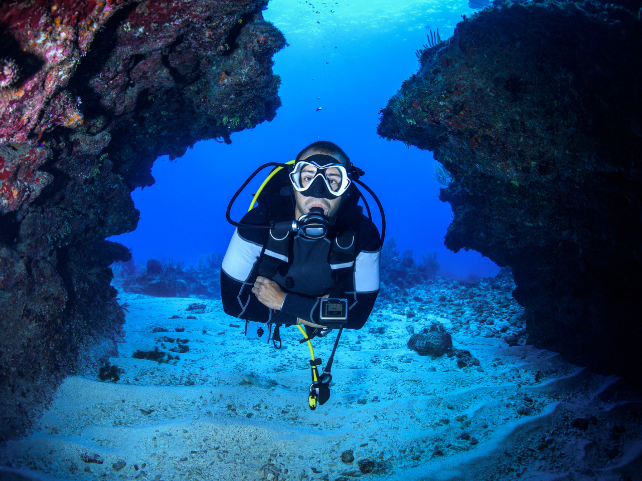 Scuba Diving in Dubai: 10 Important Dos & Don’ts